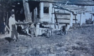 Henry Abstein building cabin at homestead site