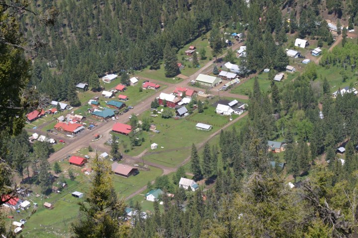 Yellow Pine from Golden Gate Hill, 2010 (by resident Deb Filler)